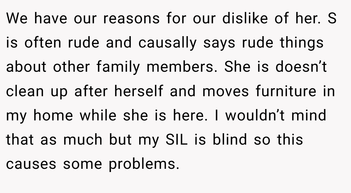 We have our reasons for our dislike of her. S is often rude and causally says rude things about other family members. She is doesn’t clean up after herself and moves furniture in my home while she is here. I wouldn’t mind that as much but my SIL is blind so this causes some problems.
