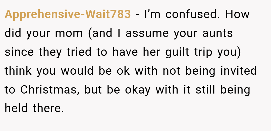 Apprehensive-Wait783 − I’m confused. How did your mom (and I assume your aunts since they tried to have her guilt trip you) think you would be ok with not being invited to Christmas, but be okay with it still being held there.