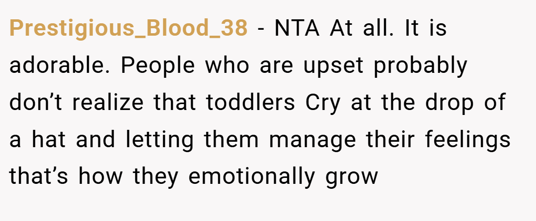Prestigious_Blood_38 − NTA At all. It is adorable. People who are upset probably don’t realize that toddlers Cry at the drop of a hat and letting them manage their feelings that’s how they emotionally grow