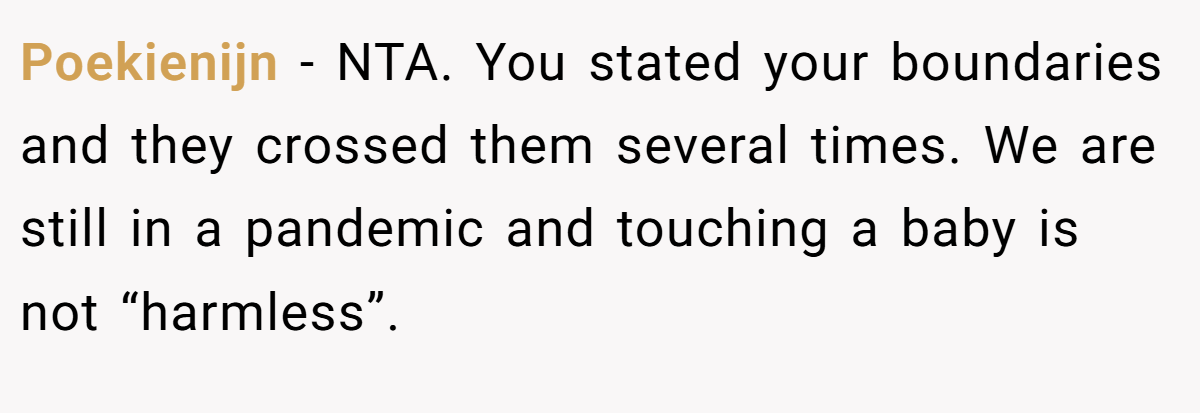 Poekienijn − NTA. You stated your boundaries and they crossed them several times. We are still in a pandemic and touching a baby is not “harmless”.