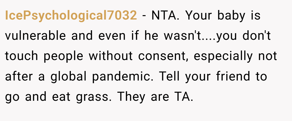 IcePsychological7032 − NTA. Your baby is vulnerable and even if he wasn't....you don't touch people without consent, especially not after a global pandemic. Tell your friend to go and eat grass. They are TA.