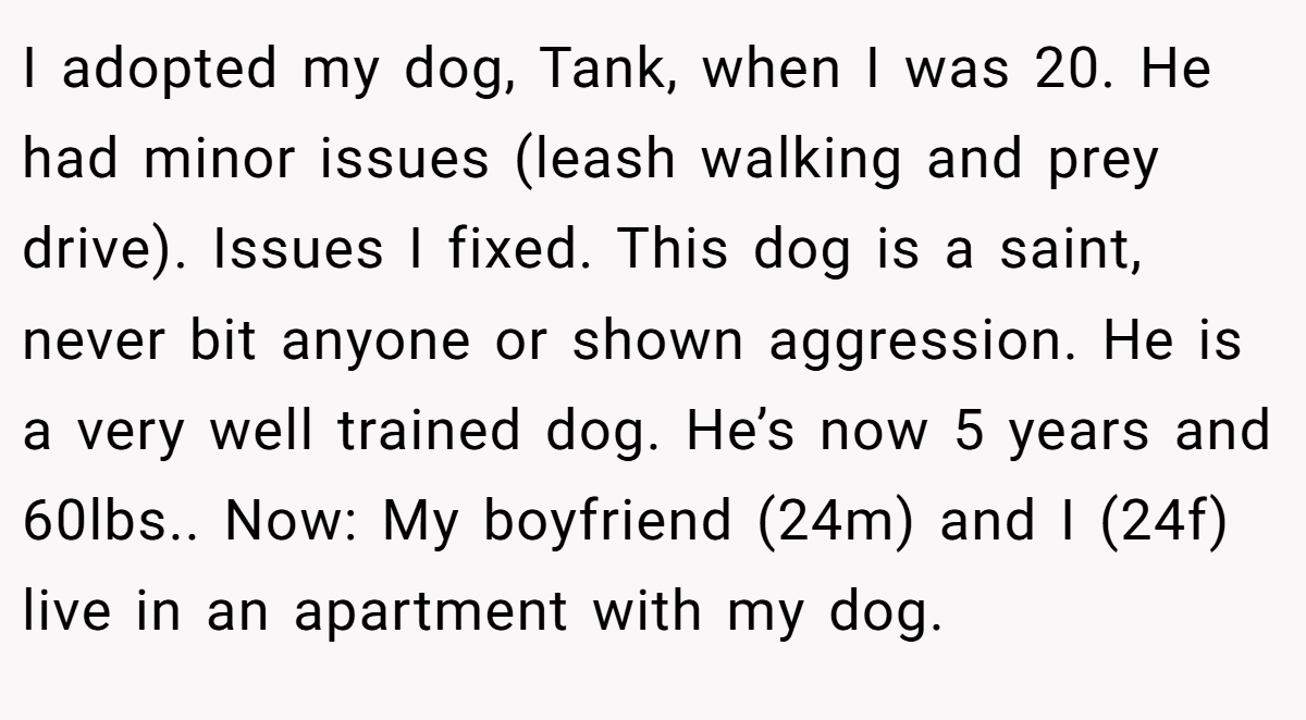 I adopted my dog, Tank, when I was 20. He had minor issues (leash walking and prey drive). Issues I fixed. This dog is a saint, never bit anyone or shown aggression. He is a very well trained dog. He’s now 5 years and 60lbs.. Now: My boyfriend (24m) and I (24f) live in an apartment with my dog.