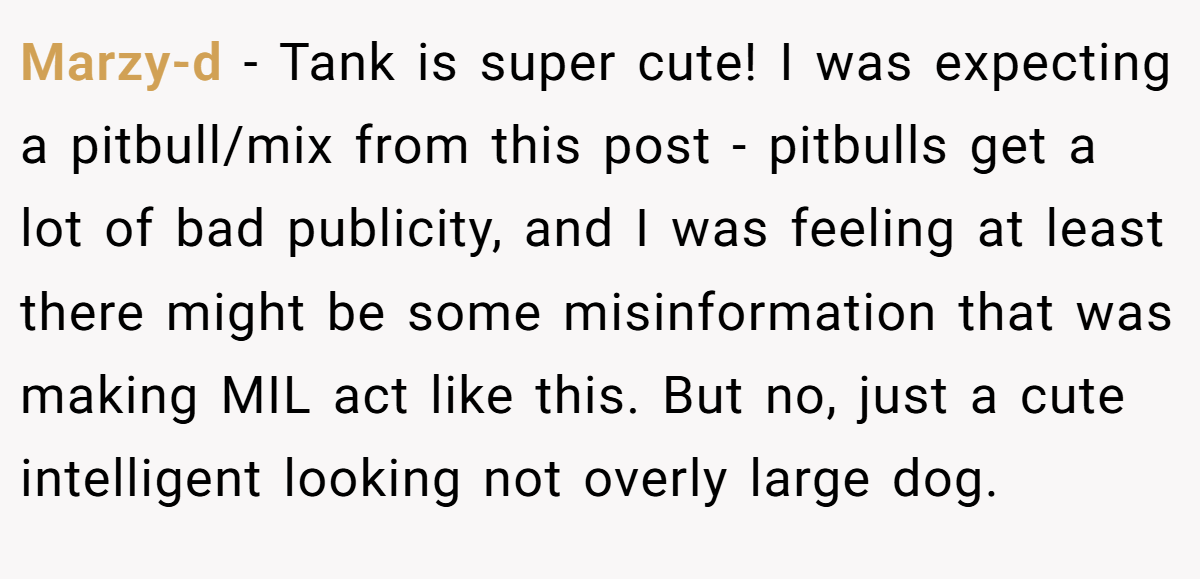 Marzy-d − Tank is super cute! I was expecting a pitbull/mix from this post - pitbulls get a lot of bad publicity, and I was feeling at least there might be some misinformation that was making MIL act like this. But no, just a cute intelligent looking not overly large dog.