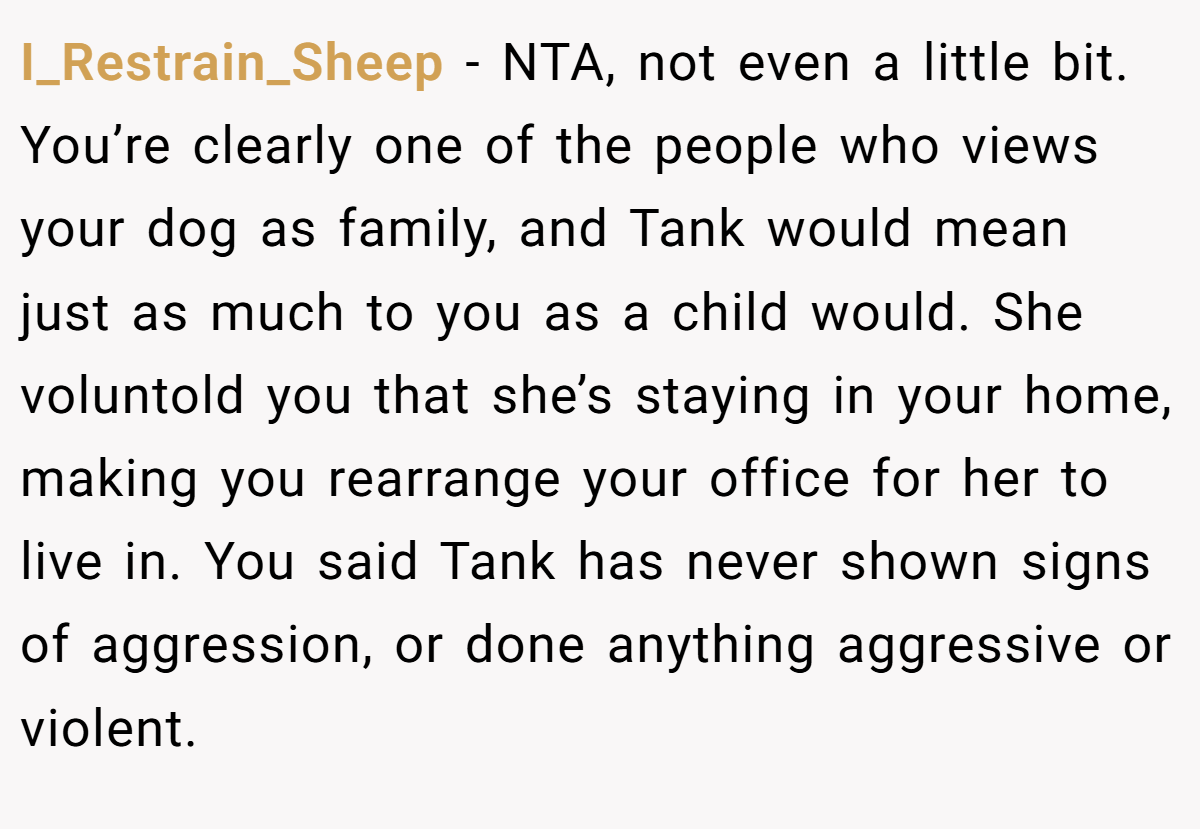 I_Restrain_Sheep − NTA, not even a little bit. You’re clearly one of the people who views your dog as family, and Tank would mean just as much to you as a child would. She voluntold you that she’s staying in your home, making you rearrange your office for her to live in. You said Tank has never shown signs of aggression, or done anything aggressive or violent.