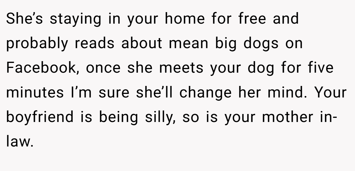 She’s staying in your home for free and probably reads about mean big dogs on Facebook, once she meets your dog for five minutes I’m sure she’ll change her mind. Your boyfriend is being silly, so is your mother in-law.