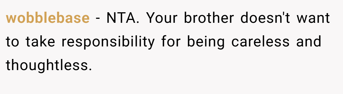 wobblebase − NTA. Your brother doesn't want to take responsibility for being careless and thoughtless.