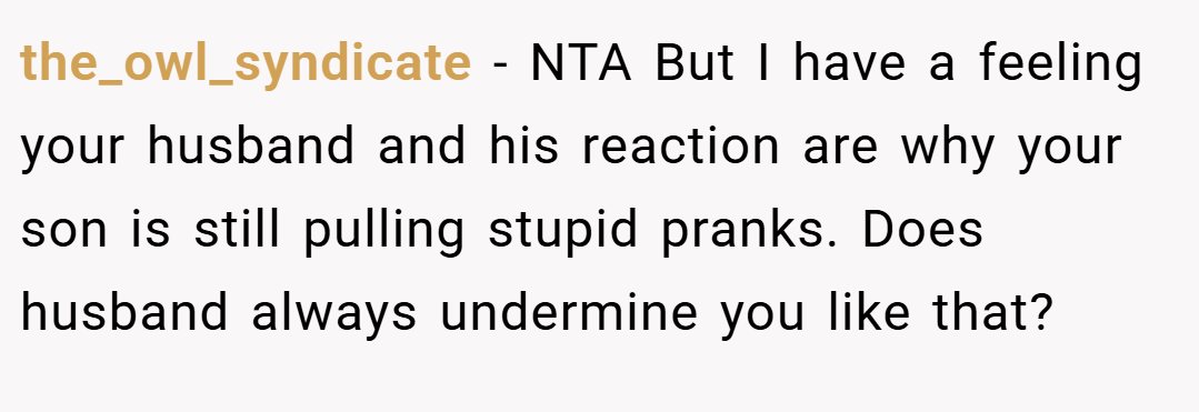the_owl_syndicate − NTA But I have a feeling your husband and his reaction are why your son is still pulling stupid pranks. Does husband always undermine you like that?