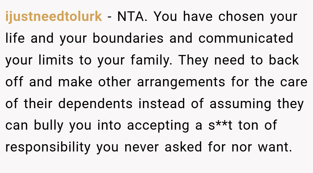 ijustneedtolurk − NTA. You have chosen your life and your boundaries and communicated your limits to your family. They need to back off and make other arrangements for the care of their dependents instead of assuming they can bully you into accepting a s**t ton of responsibility you never asked for nor want.