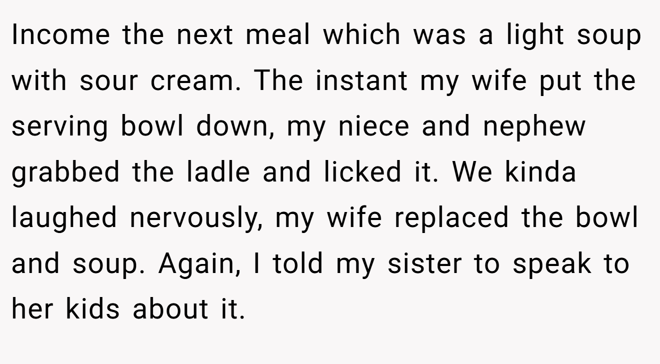Income the next meal which was a light soup with sour cream. The instant my wife put the serving bowl down, my niece and nephew grabbed the ladle and licked it. We kinda laughed nervously, my wife replaced the bowl and soup. Again, I told my sister to speak to her kids about it.