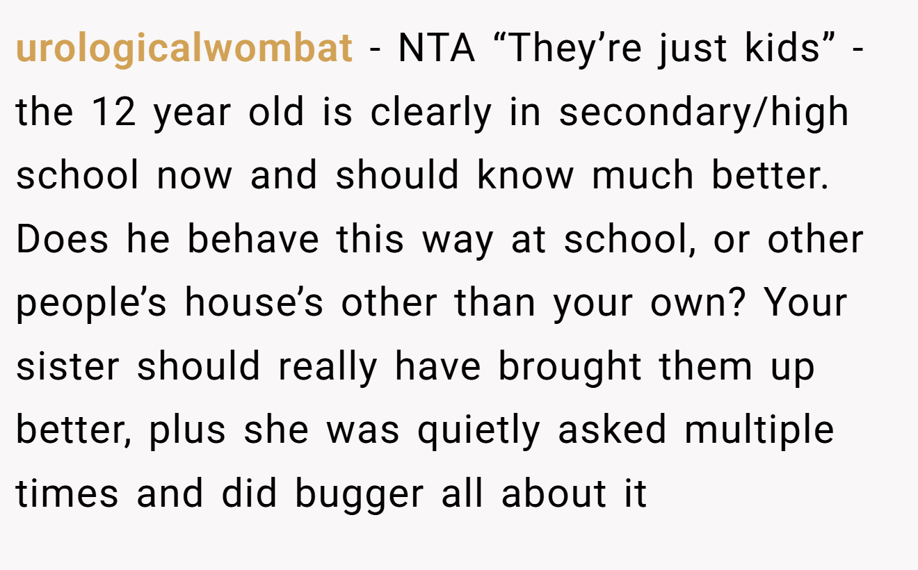 urologicalwombat − NTA “They’re just kids” - the 12 year old is clearly in secondary/high school now and should know much better. Does he behave this way at school, or other people’s house’s other than your own? Your sister should really have brought them up better, plus she was quietly asked multiple times and did bugger all about it