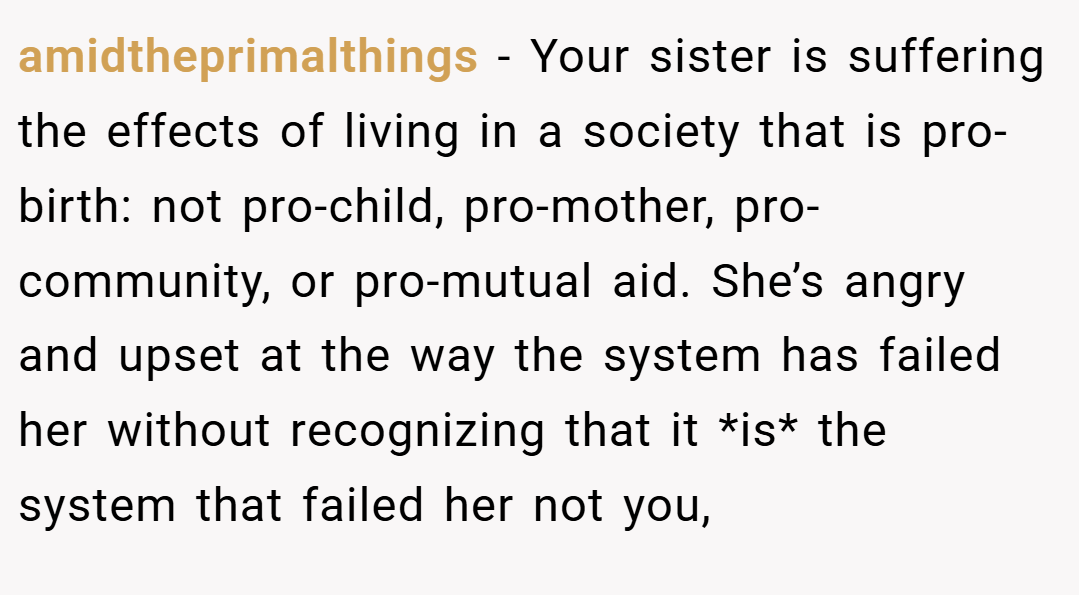 amidtheprimalthings − Your sister is suffering the effects of living in a society that is pro-birth: not pro-child, pro-mother, pro-community, or pro-mutual aid. She’s angry and upset at the way the system has failed her without recognizing that it *is* the system that failed her not you,