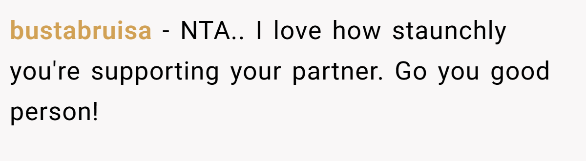 bustabruisa − NTA.. I love how staunchly you're supporting your partner. Go you good person!