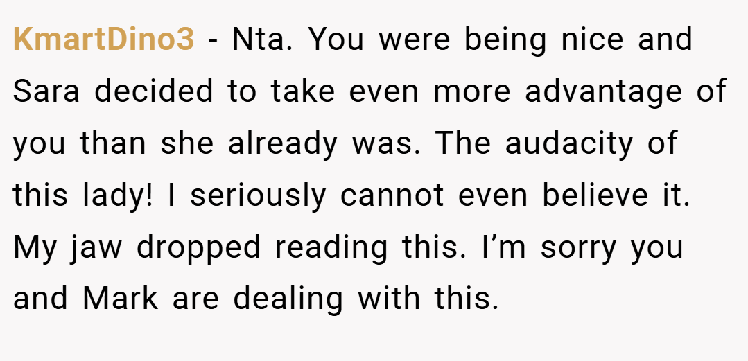KmartDino3 − Nta. You were being nice and Sara decided to take even more advantage of you than she already was. The audacity of this lady! I seriously cannot even believe it. My jaw dropped reading this. I’m sorry you and Mark are dealing with this.