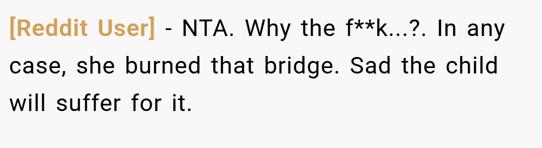 [Reddit User] − NTA. Why the f**k...?. In any case, she burned that bridge. Sad the child will suffer for it.