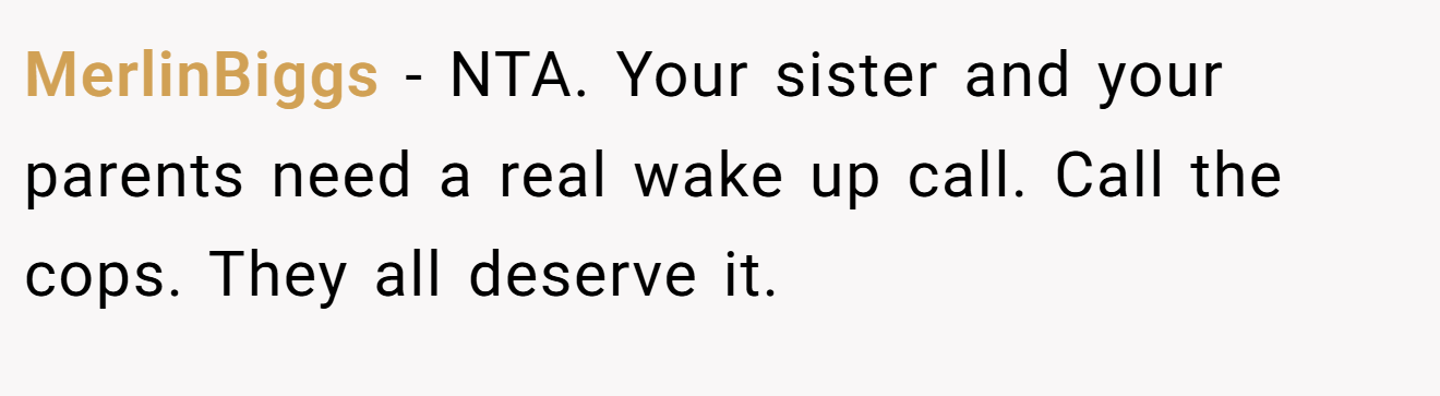 MerlinBiggs - NTA. Your sister and your parents need a real wake up call. Call the cops. They all deserve it.