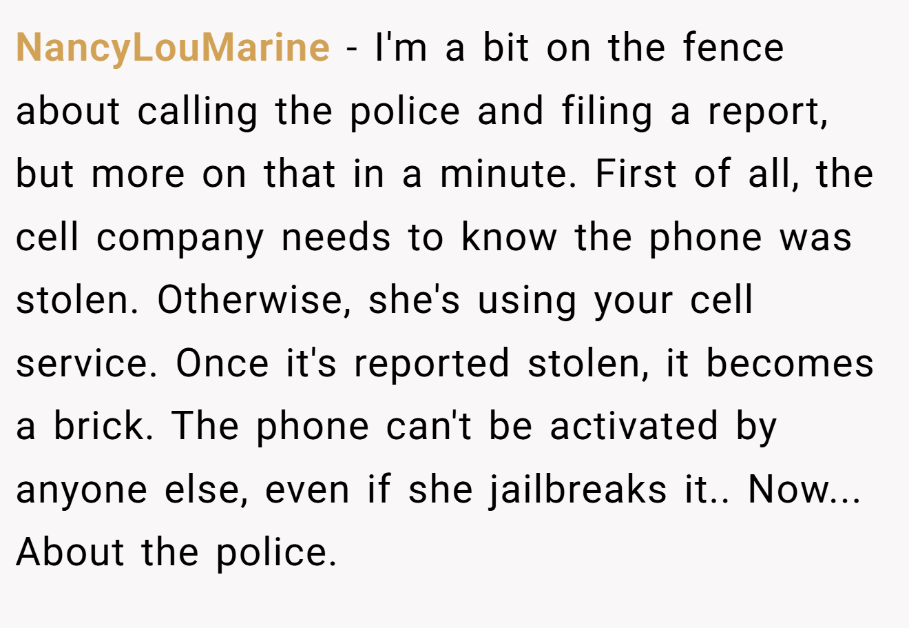 NancyLouMarine - I'm a bit on the fence about calling the police and filing a report, but more on that in a minute. First of all, the cell company needs to know the phone was stolen. Otherwise, she's using your cell service. Once it's reported stolen, it becomes a brick. The phone can't be activated by anyone else, even if she jailbreaks it.. Now... About the police.