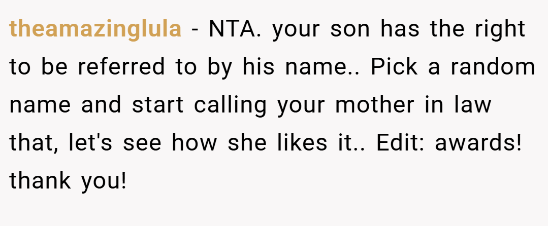 theamazinglula − NTA. your son has the right to be referred to by his name.. Pick a random name and start calling your mother in law that, let's see how she likes it.. Edit: awards! thank you!