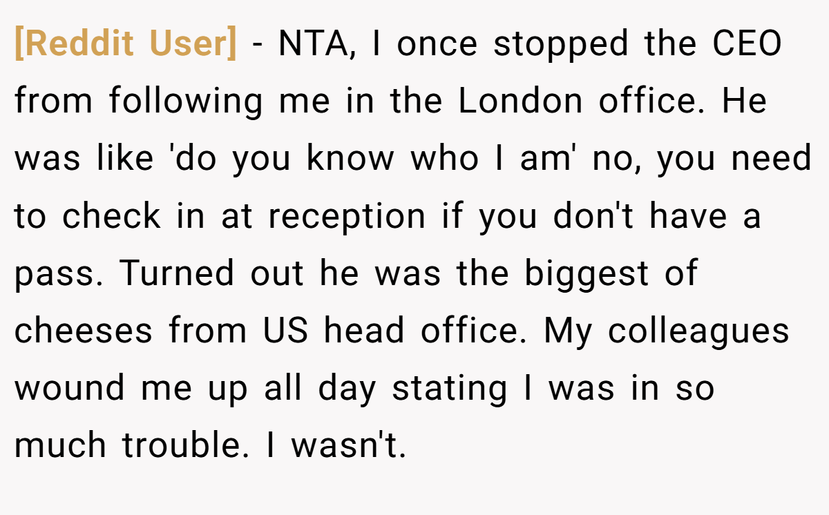 [Reddit User] − NTA, I once stopped the CEO from following me in the London office. He was like 'do you know who I am' no, you need to check in at reception if you don't have a pass. Turned out he was the biggest of cheeses from US head office. My colleagues wound me up all day stating I was in so much trouble. I wasn't.
