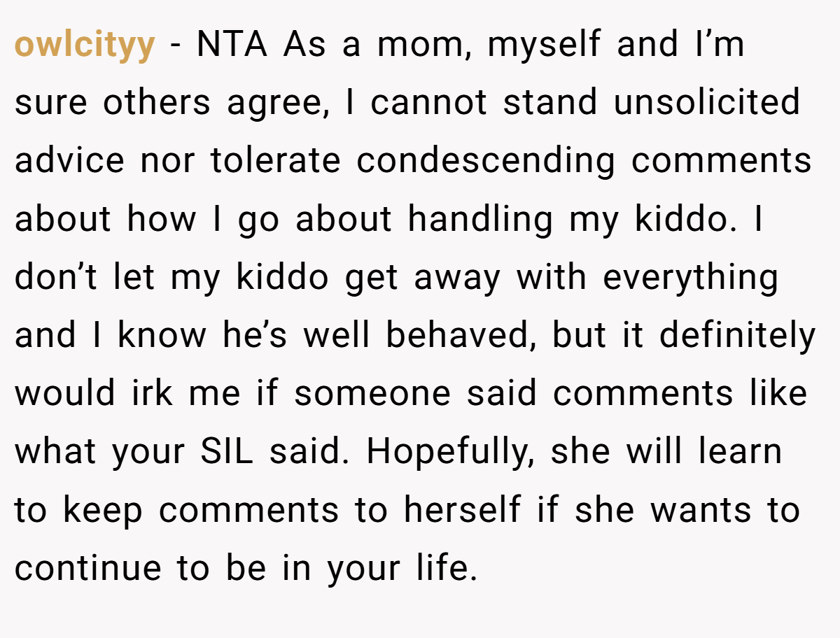 owlcityy − NTA As a mom, myself and I’m sure others agree, I cannot stand unsolicited advice nor tolerate condescending comments about how I go about handling my kiddo. I don’t let my kiddo get away with everything and I know he’s well behaved, but it definitely would irk me if someone said comments like what your SIL said. Hopefully, she will learn to keep comments to herself if she wants to continue to be in your life.
