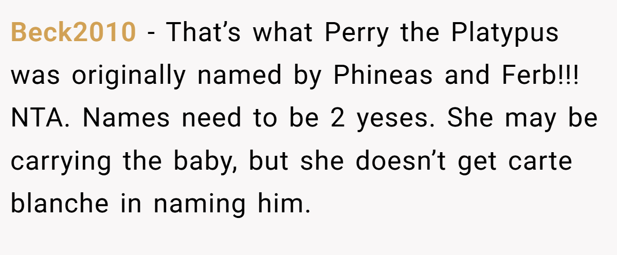 Beck2010 − That’s what Perry the Platypus was originally named by Phineas and Ferb!!! NTA. Names need to be 2 yeses. She may be carrying the baby, but she doesn’t get carte blanche in naming him.
