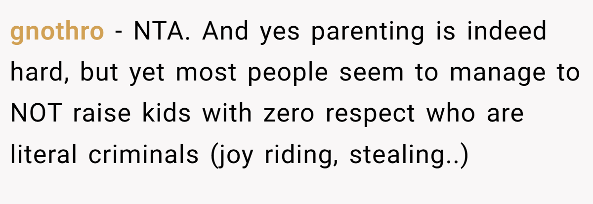 gnothro − NTA. And yes parenting is indeed hard, but yet most people seem to manage to NOT raise kids with zero respect who are literal criminals (joy riding, stealing..)
