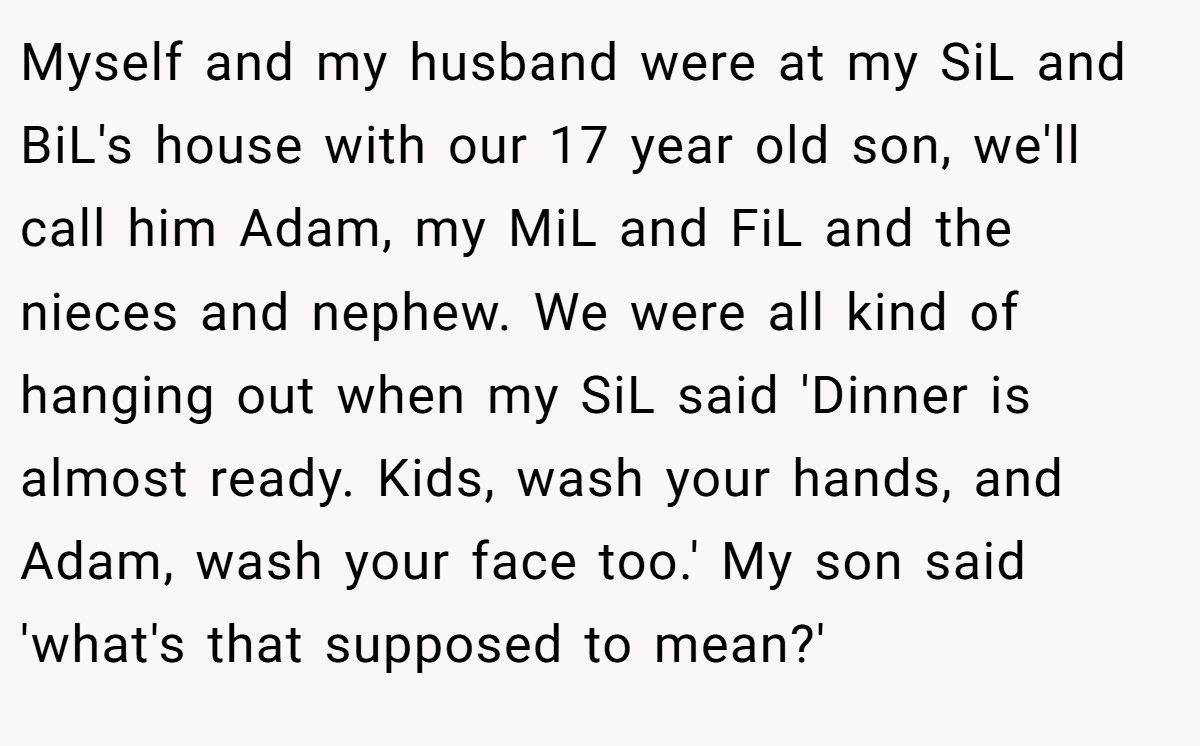 Myself and my husband were at my SiL and BiL's house with our 17 year old son, we'll call him Adam, my MiL and FiL and the nieces and nephew. We were all kind of hanging out when my SiL said 'Dinner is almost ready. Kids, wash your hands, and Adam, wash your face too.' My son said 'what's that supposed to mean?'