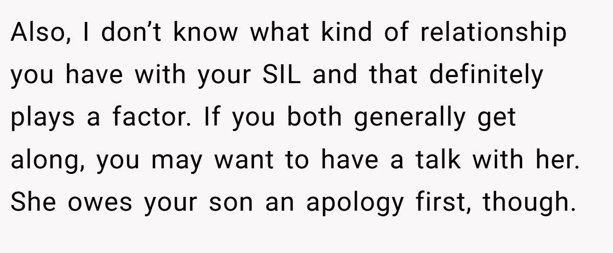 Also, I don’t know what kind of relationship you have with your SIL and that definitely plays a factor. If you both generally get along, you may want to have a talk with her. She owes your son an apology first, though.