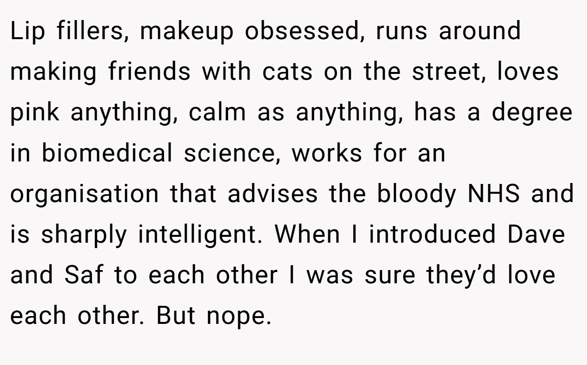 Lip fillers, makeup obsessed, runs around making friends with cats on the street, loves pink anything, calm as anything, has a degree in biomedical science, works for an organisation that advises the bloody NHS and is sharply intelligent. When I introduced Dave and Saf to each other I was sure they’d love each other. But nope.