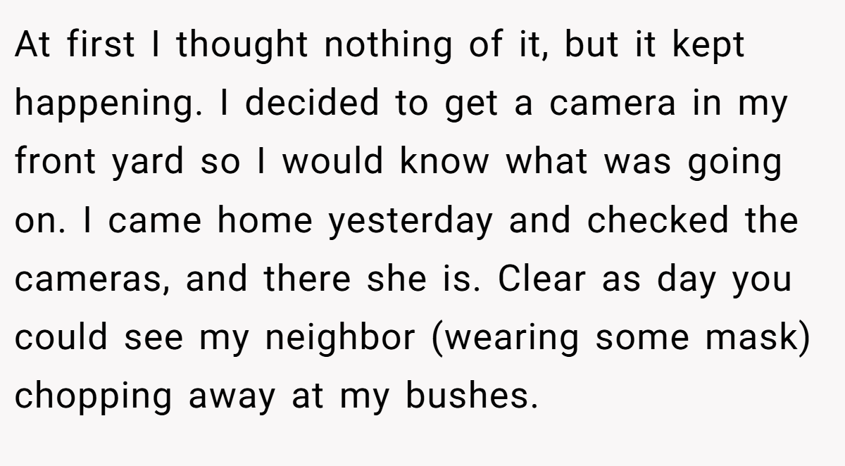 At first I thought nothing of it, but it kept happening. I decided to get a camera in my front yard so I would know what was going on. I came home yesterday and checked the cameras, and there she is. Clear as day you could see my neighbor (wearing some mask) chopping away at my bushes.