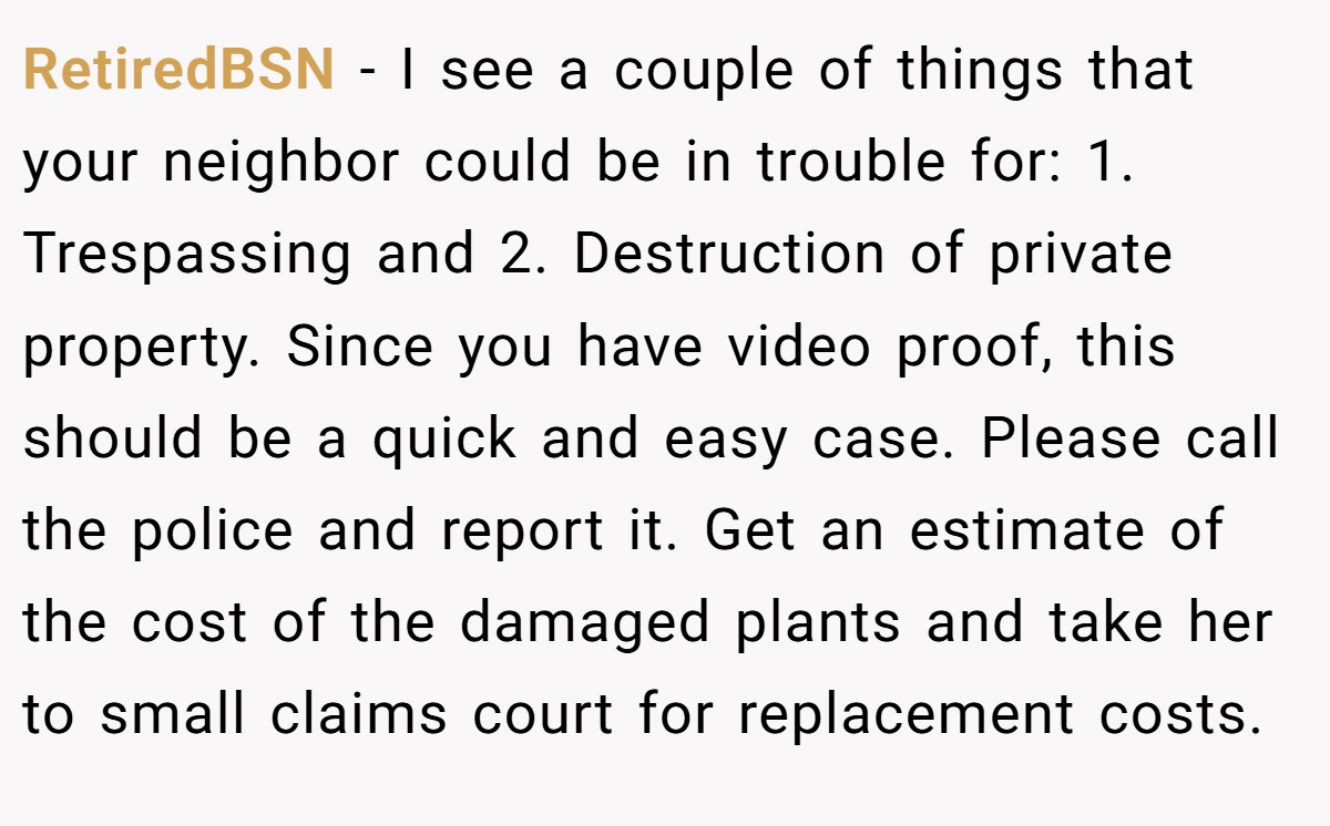 RetiredBSN - I see a couple of things that your neighbor could be in trouble for: 1. Trespassing and 2. Destruction of private property. Since you have video proof, this should be a quick and easy case. Please call the police and report it. Get an estimate of the cost of the damaged plants and take her to small claims court for replacement costs.
