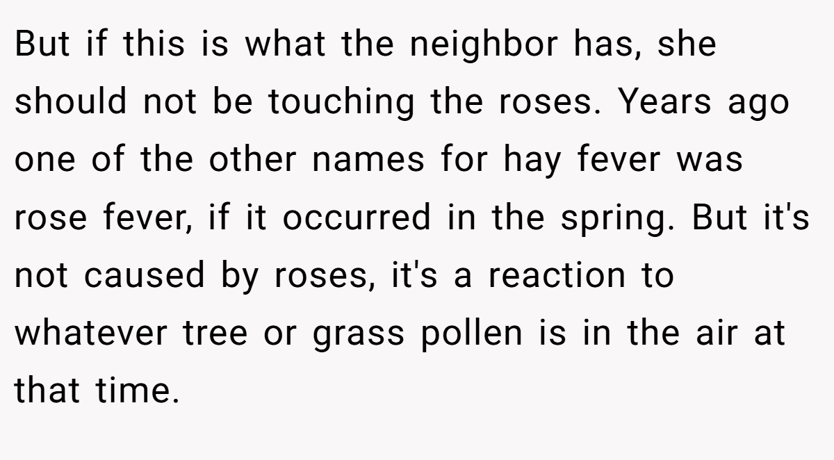 But if this is what the neighbor has, she should not be touching the roses. Years ago one of the other names for hay fever was rose fever, if it occurred in the spring. But it's not caused by roses, it's a reaction to whatever tree or grass pollen is in the air at that time.