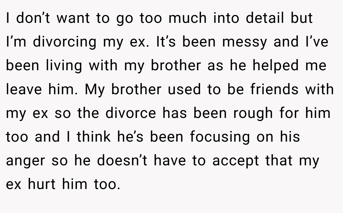 I don’t want to go too much into detail but I’m divorcing my ex. It’s been messy and I’ve been living with my brother as he helped me leave him. My brother used to be friends with my ex so the divorce has been rough for him too and I think he’s been focusing on his anger so he doesn’t have to accept that my ex hurt him too.