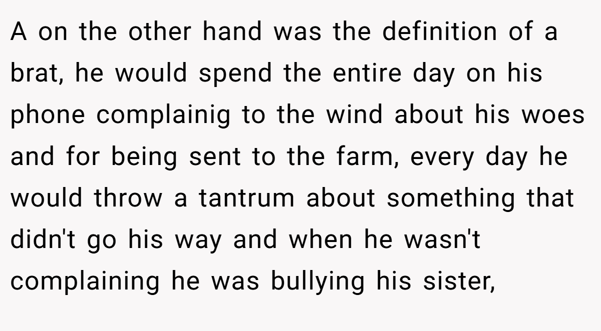 A on the other hand was the definition of a brat, he would spend the entire day on his phone complainig to the wind about his woes and for being sent to the farm, every day he would throw a tantrum about something that didn't go his way and when he wasn't complaining he was bullying his sister,