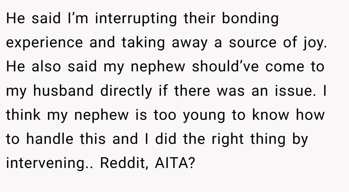 He said I’m interrupting their bonding experience and taking away a source of joy. He also said my nephew should’ve come to my husband directly if there was an issue. I think my nephew is too young to know how to handle this and I did the right thing by intervening.. Reddit, AITA?
