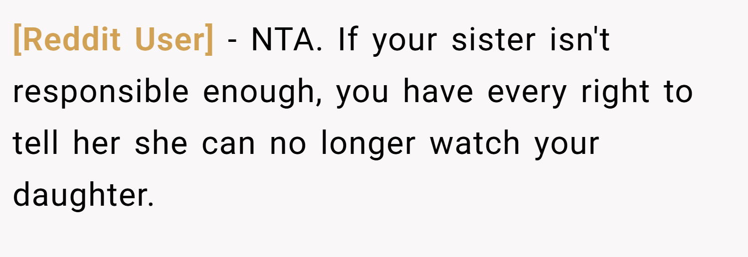 [Reddit User] − NTA. If your sister isn't responsible enough, you have every right to tell her she can no longer watch your daughter.