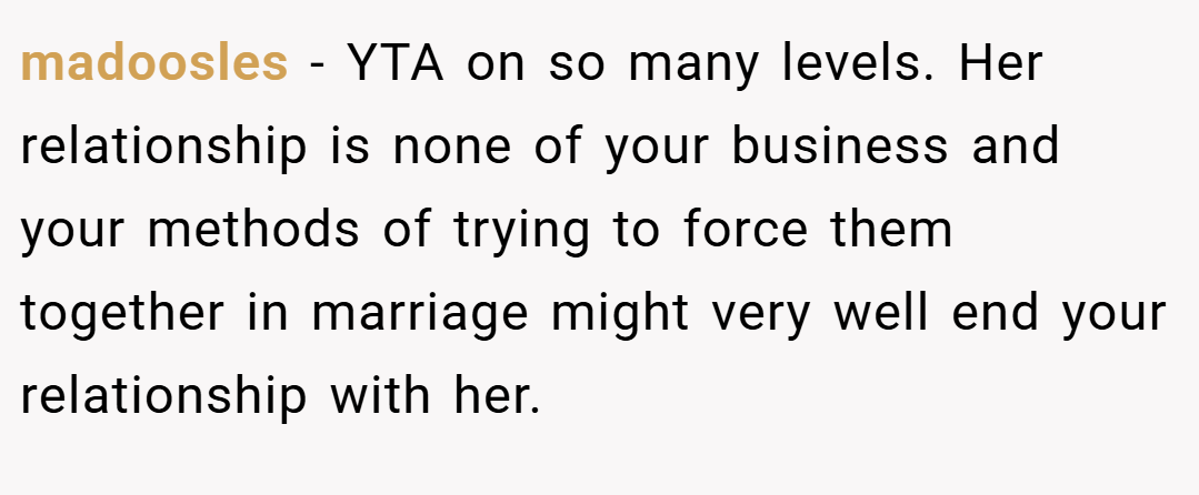 madoosles − YTA on so many levels. Her relationship is none of your business and your methods of trying to force them together in marriage might very well end your relationship with her.