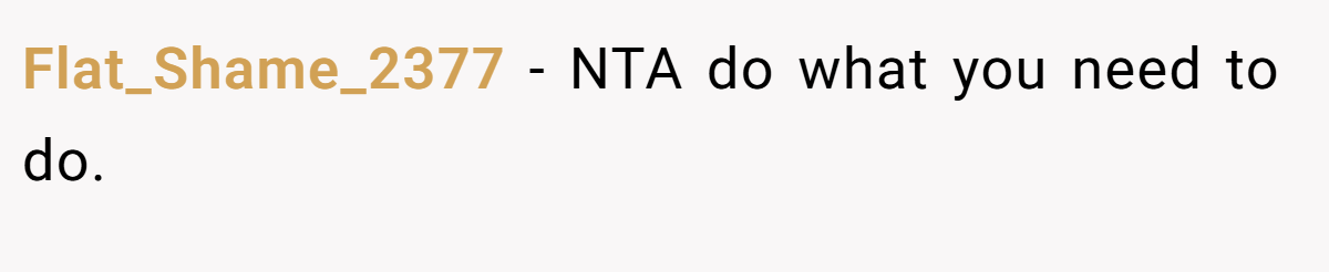 Flat_Shame_2377 - NTA do what you need to do.