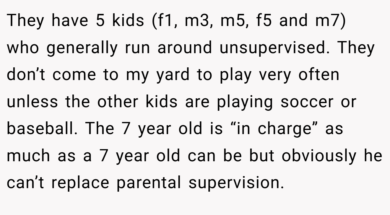 They have 5 kids (f1, m3, m5, f5 and m7) who generally run around unsupervised. They don’t come to my yard to play very often unless the other kids are playing soccer or baseball. The 7 year old is “in charge” as much as a 7 year old can be but obviously he can’t replace parental supervision.