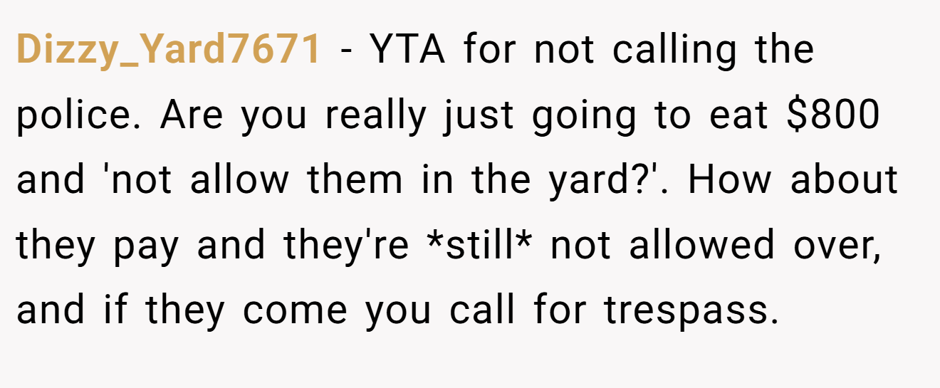 Dizzy_Yard7671 - YTA for not calling the police. Are you really just going to eat $800 and 'not allow them in the yard?'. How about they pay and they're *still* not allowed over, and if they come you call for trespass.