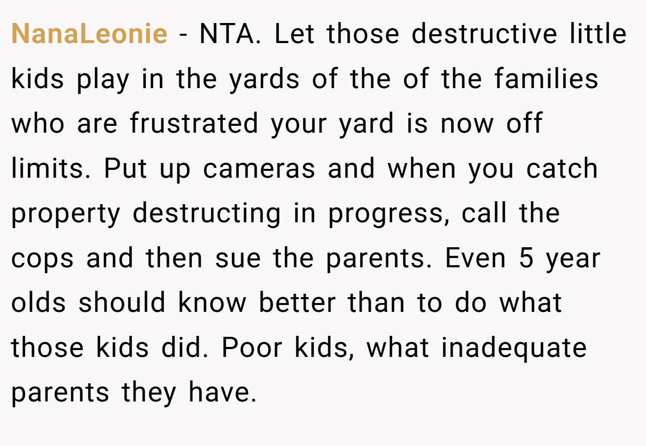 NanaLeonie - NTA. Let those destructive little kids play in the yards of the of the families who are frustrated your yard is now off limits. Put up cameras and when you catch property destructing in progress, call the cops and then sue the parents. Even 5 year olds should know better than to do what those kids did. Poor kids, what inadequate parents they have.