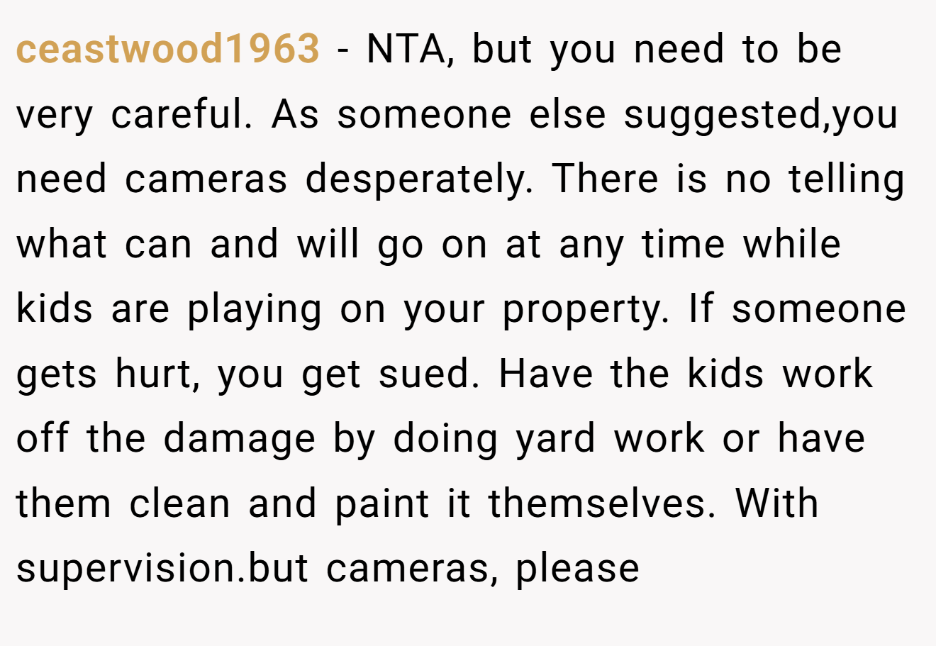 ceastwood1963 - NTA, but you need to be very careful. As someone else suggested,you need cameras desperately. There is no telling what can and will go on at any time while kids are playing on your property. If someone gets hurt, you get sued. Have the kids work off the damage by doing yard work or have them clean and paint it themselves. With supervision.but cameras, please