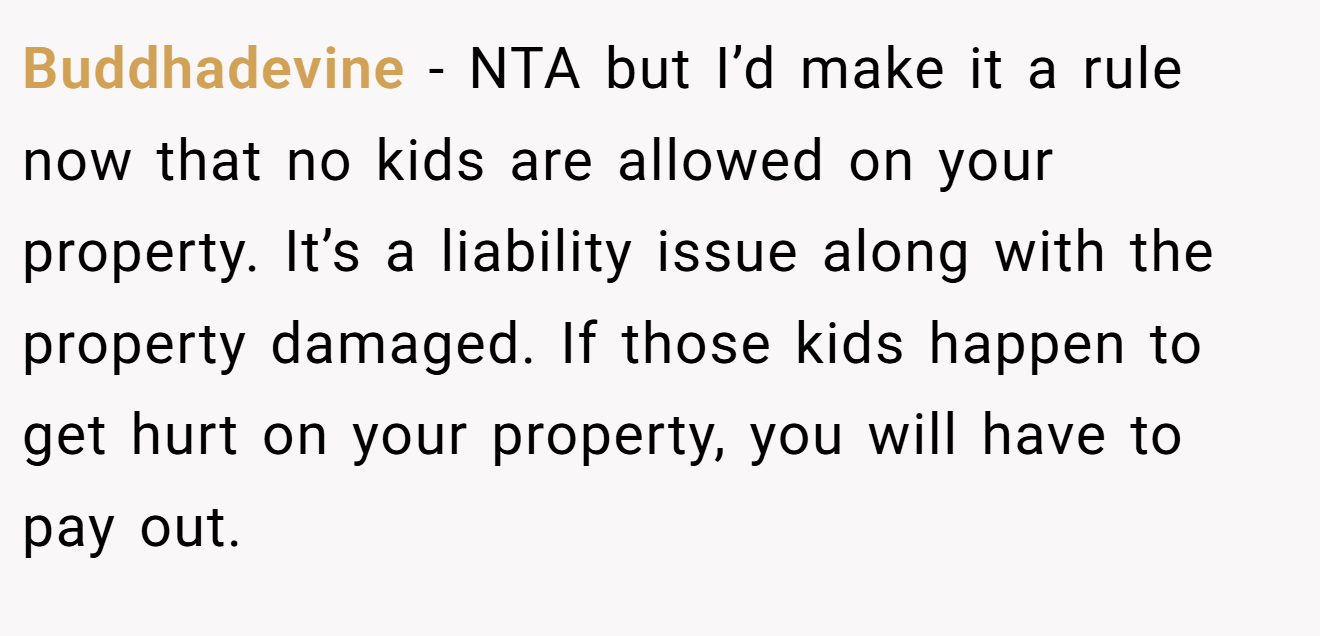 Buddhadevine - NTA but I’d make it a rule now that no kids are allowed on your property. It’s a liability issue along with the property damaged. If those kids happen to get hurt on your property, you will have to pay out.