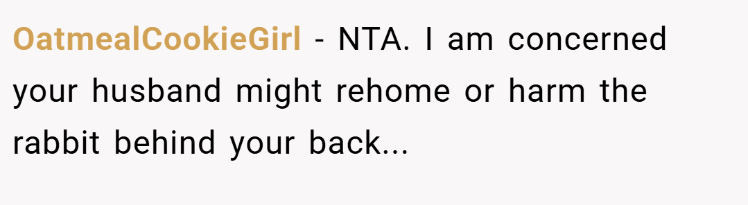 OatmealCookieGirl − NTA. I am concerned your husband might rehome or harm the rabbit behind your back...
