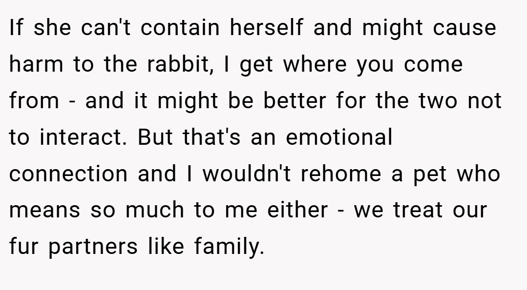 If she can't contain herself and might cause harm to the rabbit, I get where you come from - and it might be better for the two not to interact. But that's an emotional connection and I wouldn't rehome a pet who means so much to me either - we treat our fur partners like family.