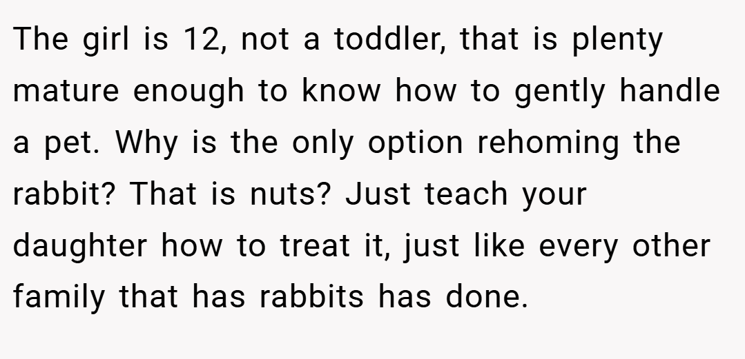 The girl is 12, not a toddler, that is plenty mature enough to know how to gently handle a pet. Why is the only option rehoming the rabbit? That is nuts? Just teach your daughter how to treat it, just like every other family that has rabbits has done.