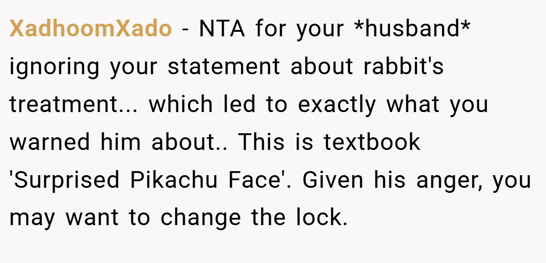 XadhoomXado − NTA for your *husband* ignoring your statement about rabbit's treatment... which led to exactly what you warned him about.. This is textbook 'Surprised Pikachu Face'. Given his anger, you may want to change the lock.