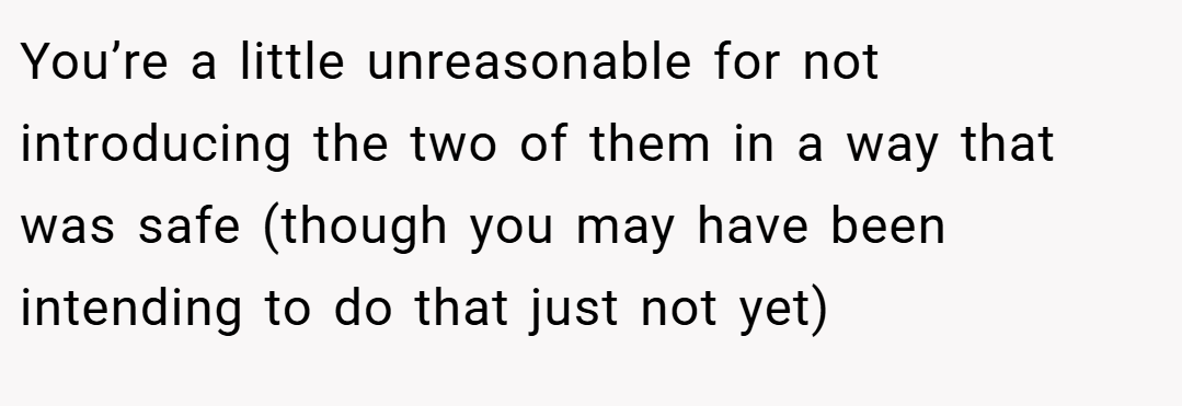 You’re a little unreasonable for not introducing the two of them in a way that was safe (though you may have been intending to do that just not yet)