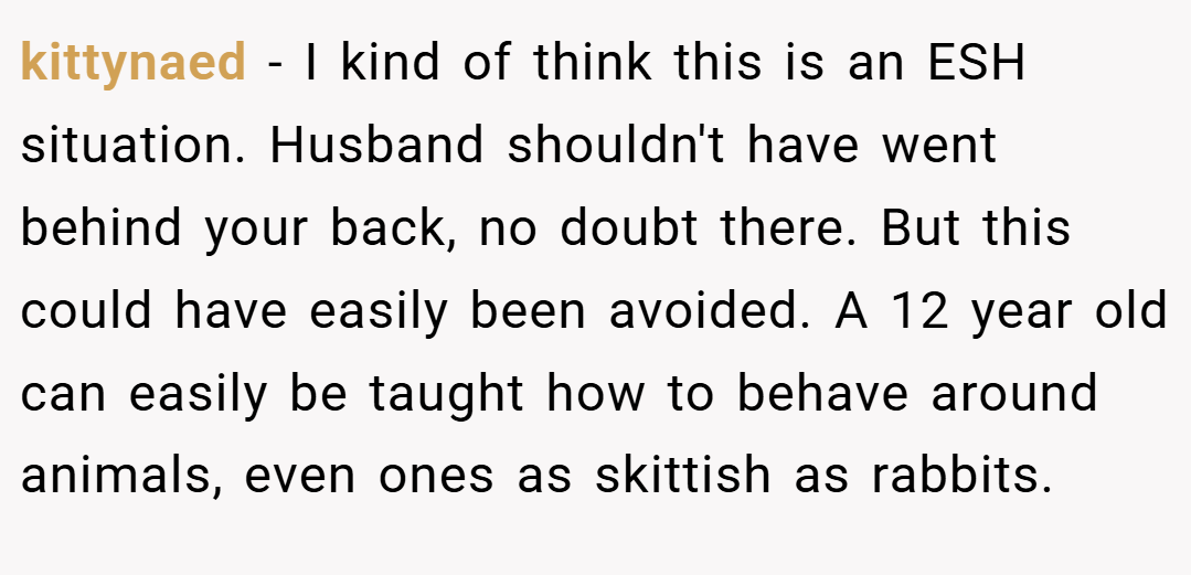 kittynaed − I kind of think this is an ESH situation. Husband shouldn't have went behind your back, no doubt there. But this could have easily been avoided. A 12 year old can easily be taught how to behave around animals, even ones as skittish as rabbits.