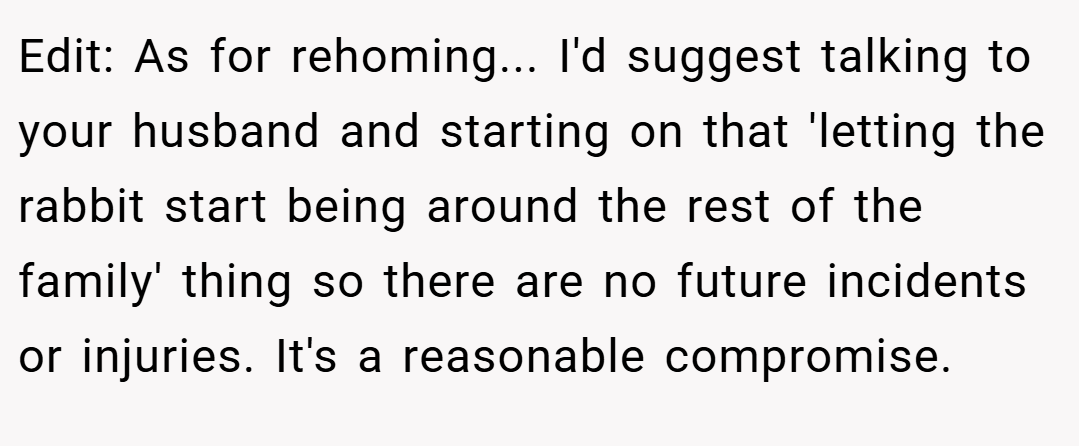 Edit: As for rehoming... I'd suggest talking to your husband and starting on that 'letting the rabbit start being around the rest of the family' thing so there are no future incidents or injuries. It's a reasonable compromise.