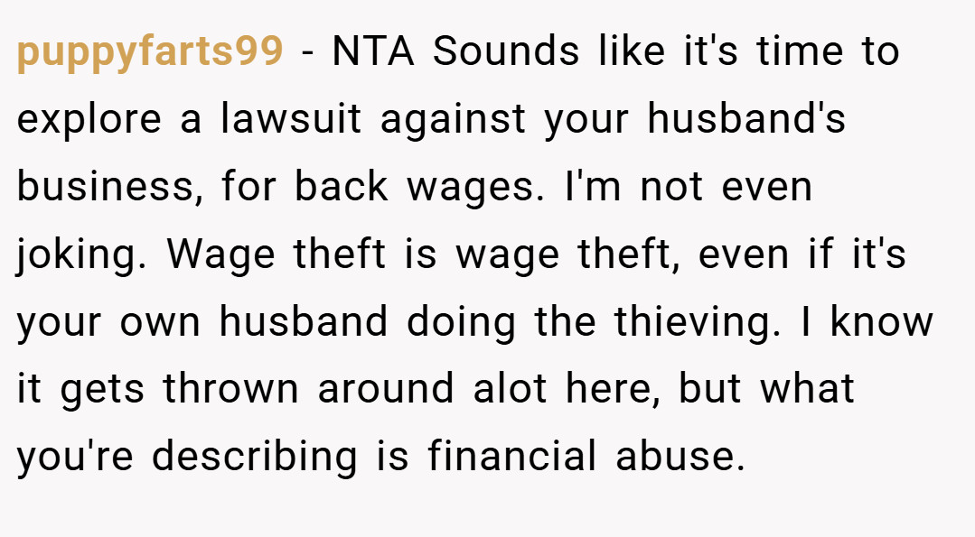 puppyfarts99 − NTA Sounds like it's time to explore a lawsuit against your husband's business, for back wages. I'm not even joking. Wage theft is wage theft, even if it's your own husband doing the thieving. I know it gets thrown around alot here, but what you're describing is financial abuse.